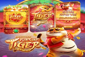 8pg cassino